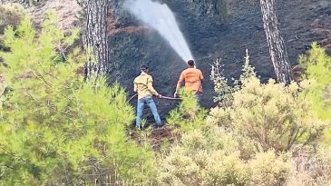 Yanan Ormanlar K&uuml;llerinden Yeniden Doğacak Yeşil Vatan &Ouml;zveriyle Korunacak
