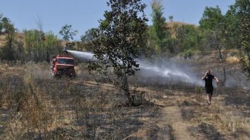 Yangını Başlatan Kişi, Alevlerin Yayıldığını G&ouml;r&uuml;nce Ka&ccedil;tı: 'Bir Ay Uğraşsak S&ouml;nd&uuml;remezdik'