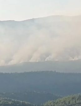 Yangınlardan Etkilenen 50 Bin Kişi Tahliye Edildi! 41 Yerleşim Yeri Zarar Gördü