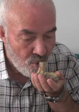 Yavru Kuşu Ağızla Besleyerek Hayata D&ouml;nd&uuml;rd&uuml;: "Beni Annesi Sanıyor!"