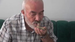 Yavru Kuşu Ağızla Besleyerek Hayata Döndürdü: "Beni Annesi Sanıyor!"