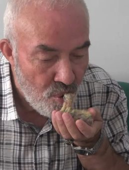 Yavru Kuşu Ağızla Besleyerek Hayata Döndürdü: "Beni Annesi Sanıyor!"