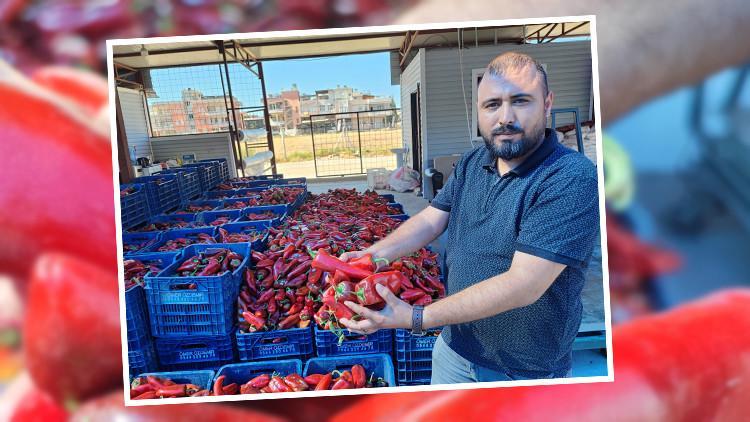 Yazın kilosu 100 lirayı buluyordu | Hazırlık başladı: Vatandaş kasa kasa satın alıyor