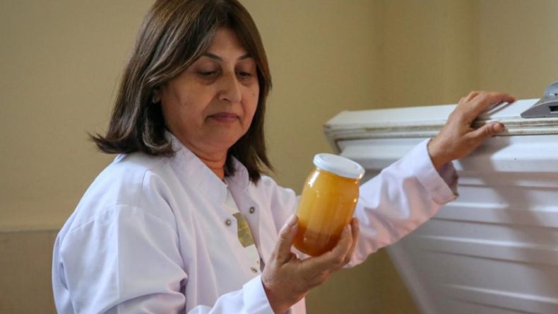 Yeşil Rengiyle Dikkat Çekiyor: Yüksek Antioksidan Değeri ve Sayısız Faydası ile Hataylı Üreticiler Patent Başvurusu Yaptı