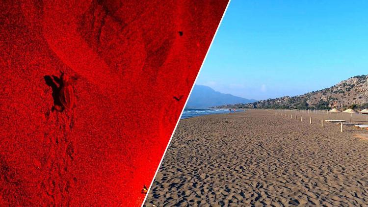 Yılın İlk Buluşması Muğla'da Gerçekleşti! 70 Günlü Süreç Sona Erdi