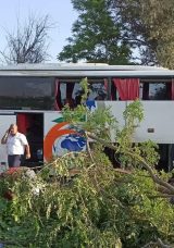Yolcu Otob&uuml;s&uuml; Şarampole D&uuml;şt&uuml;: 7 Yaralı