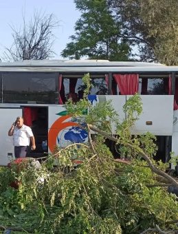 Yolcu Otobüsü Şarampole Düştü: 7 Yaralı