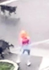 Yolda y&uuml;r&uuml;yen kadına sokak k&ouml;pekleri saldırdı