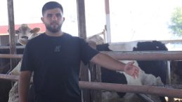 Yurt Dışından Getirilen Hayvanlardan Üçü Sevkiyattan Kaçtı! Vatandaşlara Uyarı: Görürseniz Uzaklaşın