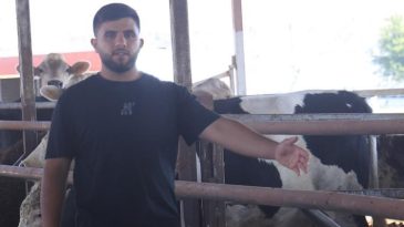 Yurt Dışından Getirilen Hayvanlardan &Uuml;&ccedil;&uuml; Sevkiyattan Ka&ccedil;tı! Vatandaşlara Uyarı: G&ouml;r&uuml;rseniz Uzaklaşın