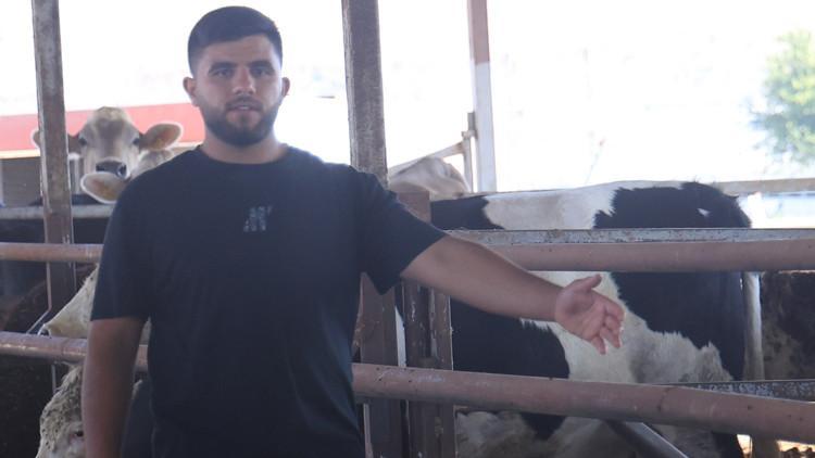 Yurt Dışından Getirilen Hayvanlardan Üçü Sevkiyattan Kaçtı! Vatandaşlara Uyarı: Görürseniz Uzaklaşın