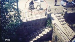 Zorba Komşu