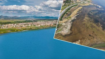 '&Ouml;lmesine seyirci kalmayız' dedi ve kodu a&ccedil;ıkladı! Bakanlık harekete ge&ccedil;ti