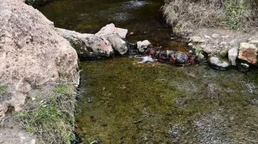 'Şifalı' denilen suya giren &ccedil;ift, gaz zehirlenmesi nedeniyle yaşamını yitirdi