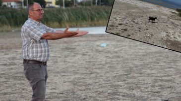 'T&uuml;m T&uuml;rkiye&rsquo;nin başı sağ olsun' dedi ve uyardı! Kıyıdan 300 metre &ccedil;ekildi