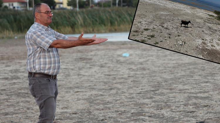 'Tüm Türkiye’nin başı sağ olsun' dedi ve uyardı! Kıyıdan 300 metre çekildi