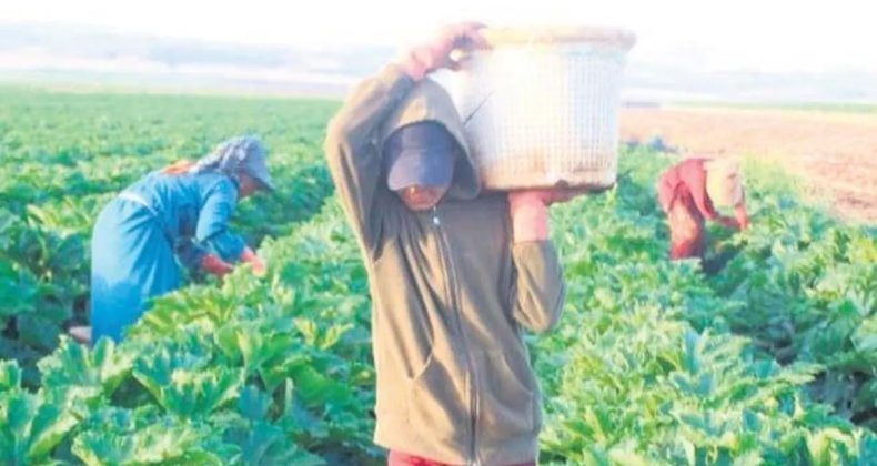 450 Bin Çiftçi Kayıt Altına Alındı