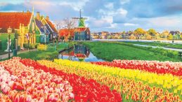 50 Milyar Dolarlık Ortak Hollanda