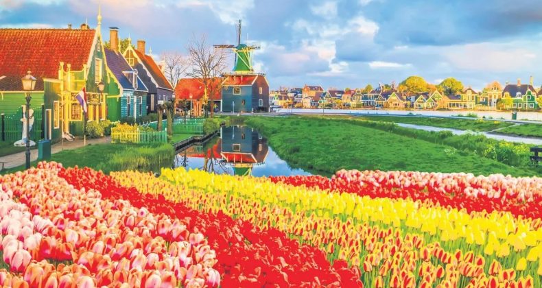 50 Milyar Dolarlık Ortak Hollanda