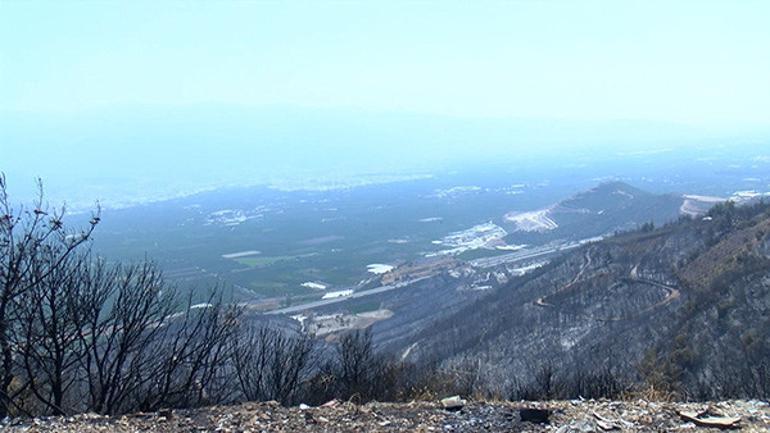 Bursa Yangınları