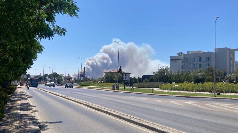 Orman Yangını Görseli