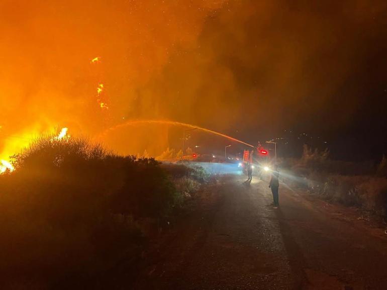 Hatay Orman Yangını