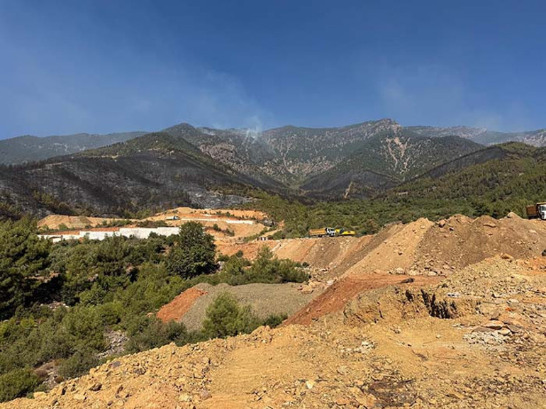 Hatay Orman Yangını
