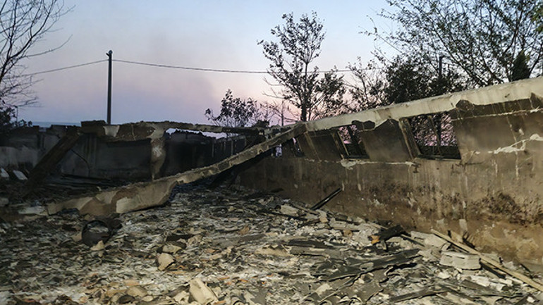 Kocaeli Orman Yangını Görünümü