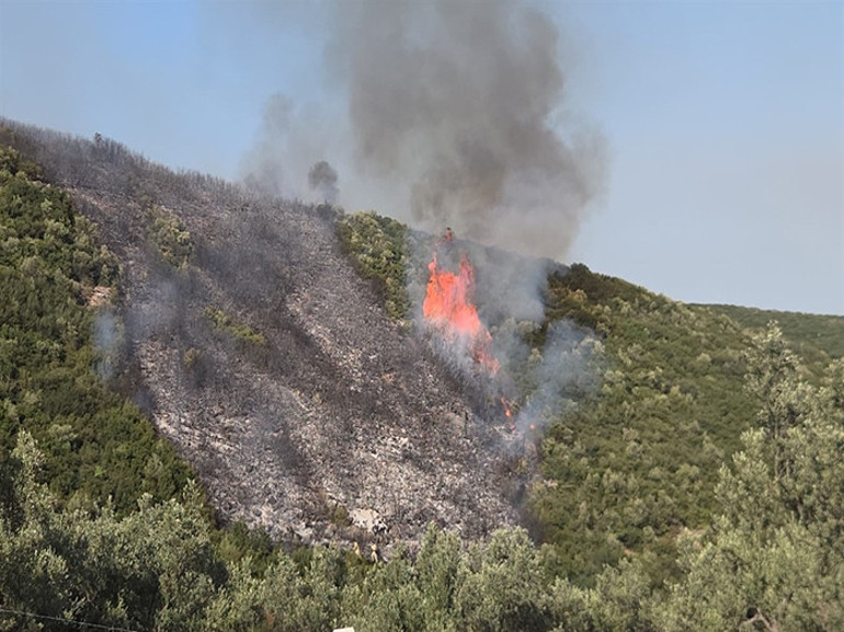 Yangın Manzarası