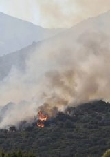 Adana ve Muğla'da Orman Yangını! Ekiplerin Havadan ve Karadan M&uuml;dahalesi Devam Ediyor
