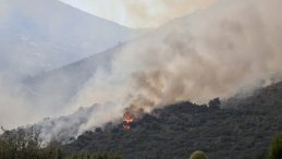 Adana ve Muğla'da Orman Yangını! Ekiplerin Havadan ve Karadan Müdahalesi Devam Ediyor