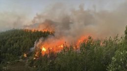 Adana'da Orman Yangını