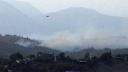 Adana'nın Orman Yangını Kontrol Altına Alındı