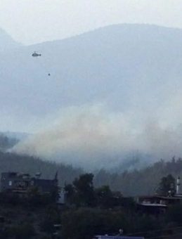 Adana'nın Orman Yangını Kontrol Altına Alındı