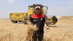 Ağrı’da 2025 Yılı İçin Tahıl Üretim Hedefleri Belirlendi
