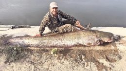 Amatör Balıkçı 2.5 Metre Uzunluğunda Balık Yakaladı