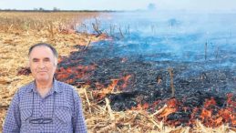 Anız Yakma, Toprağı &Ccedil;&ouml;lleştiriyor