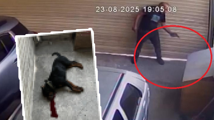 Ankara'da korkunç bir olay! Komşu esnaf, köpeğini tabancayla vurdu