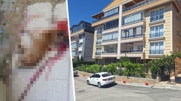 Ankara'da Polis, Sokak K&ouml;peğini Tabancayla Vurarak &Ouml;ld&uuml;rd&uuml;! Kendisine Saldırdığını İddia Etti
