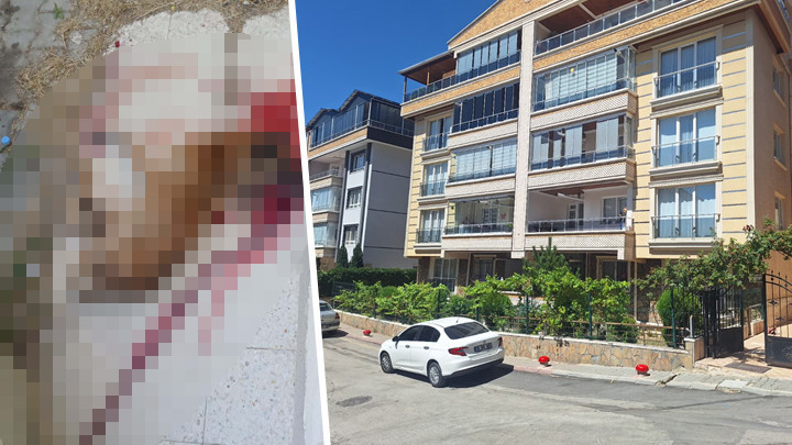 Ankara'da Polis, Sokak Köpeğini Tabancayla Vurarak Öldürdü! Kendisine Saldırdığını İddia Etti