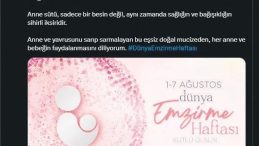 Anne Sütü: Bağışıklığın Sihirli İksiri