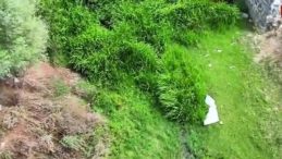 Arnavutk&ouml;y'de Alibey Deresi'ndeki Kirlilik Endişeleri Artıyor