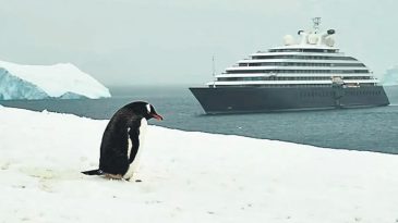 Artan Ziyaret&ccedil;i Sayısı Antarktika'yı Kirletiyor