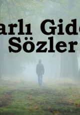 Atarlı S&ouml;zler: D&uuml;şmana S&ouml;ylenebilecek Uzun ve Kısa Etkileyici S&ouml;zler