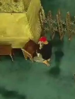 Ayasofya Camii'nde Yangın Çıkaran Şüpheli Kameralara Yansıdı