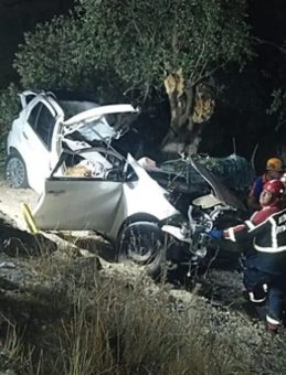 Aydın'da Feci Kaza! Otomobil Zeytinliğe Savruldu: Ölü ve Yaralı Var