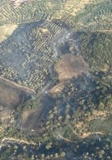 Aydın&rsquo;da Yangın S&ouml;nd&uuml;rme &Ccedil;alışmaları Devam Ediyor