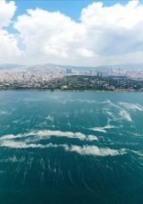 Bakanlık G&ouml;z A&ccedil;tırmamış! Marmara'da M&uuml;silaja Sıkı Denetim: 55 Tesis M&uuml;h&uuml;rlendi