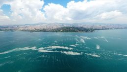 Bakanlık Göz Açtırmamış! Marmara'da Müsilaja Sıkı Denetim: 55 Tesis Mühürlendi