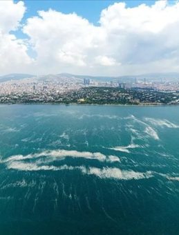 Bakanlık Göz Açtırmamış! Marmara'da Müsilaja Sıkı Denetim: 55 Tesis Mühürlendi
